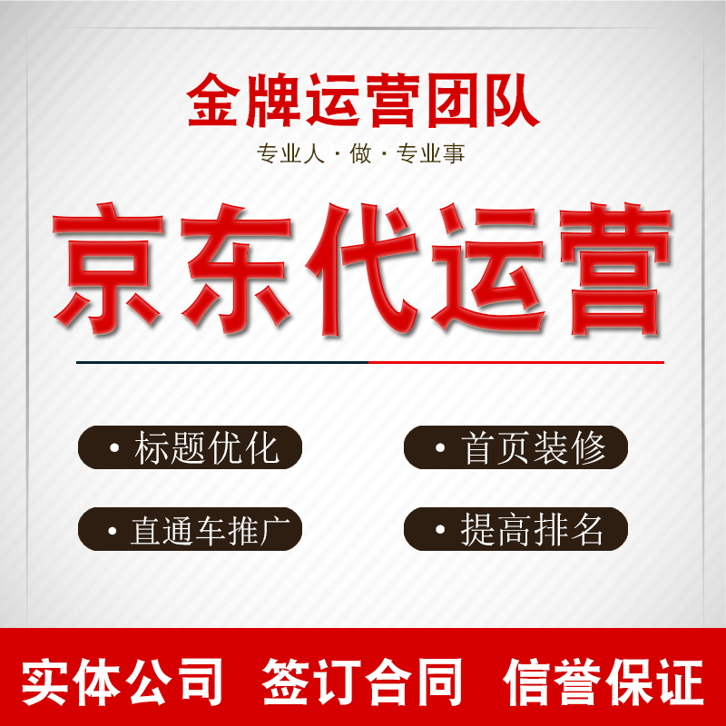 电商运营外包：让专业为生意插上飞翔的翅膀